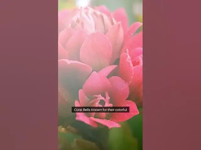 Video thumbnail for Essential Perennial Garden Plants  #facts #soil #transplantingplants #beginnergardeners #garden