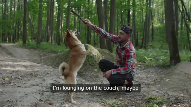 Video thumbnail for The Unbeatable Energizer Surviving Playtime with a Furry Friend