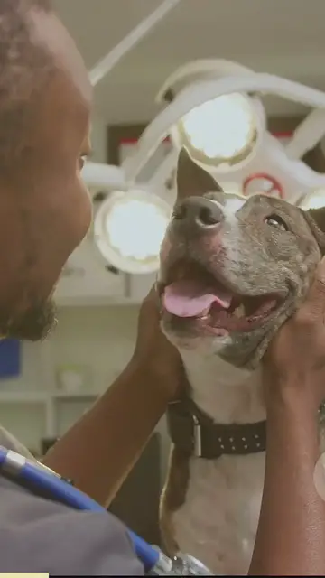 Video thumbnail for Cbd extraction methods