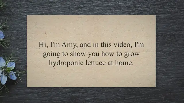 Video thumbnail for How to grow hydroponic lettuce at home