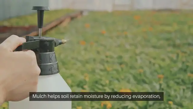 Video thumbnail for Benefits of Mulching