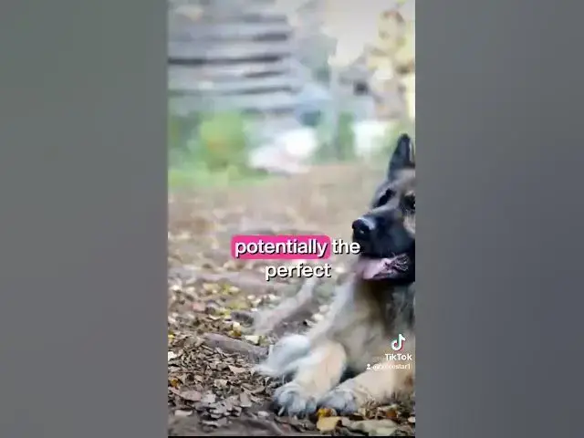 'Video thumbnail for Gsd 101 2023 10 23 074158017'