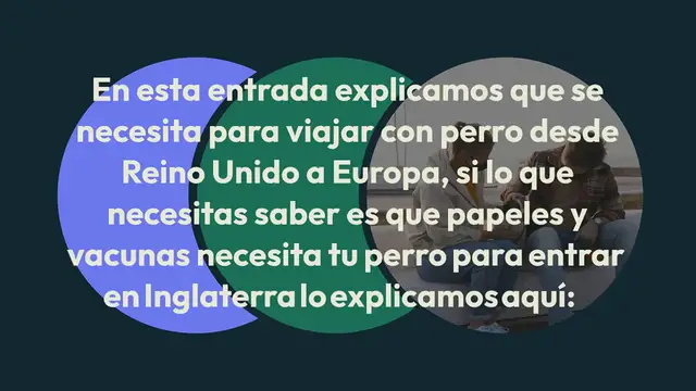 Video thumbnail for Requisitos para viajar con perro desde Reino Unido al resto de Europa