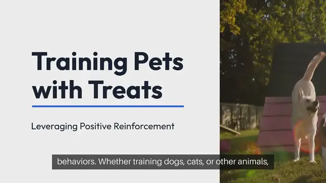 Video thumbnail for Training Pets With Treats