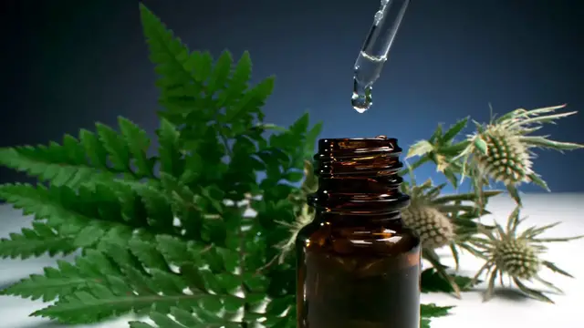 Video thumbnail for How to Get Rid of Flies: Simple and Natural Solutions for a Fly-Free Space