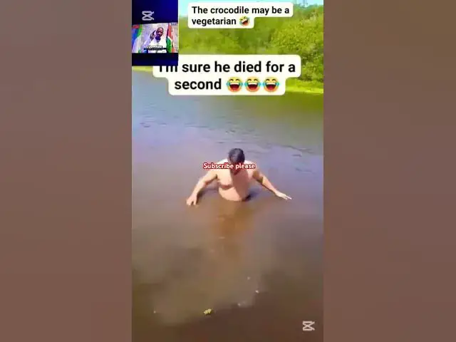 Video thumbnail for The Crocodile 🐊 could be a Vegetarian #johnselephilip #funny 🤣🤣🤣 #foryou #afrobeatslovers #funnyface