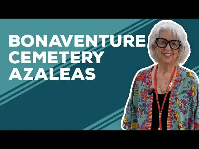 Video thumbnail for Love & Best Dishes: See the Azaleas Blooming at Bonaventure Cemetery