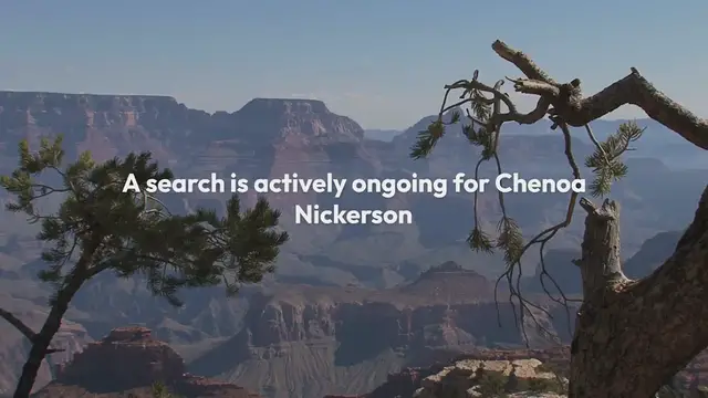 Video thumbnail for **Search Intensifies for Arizona Woman Swept Away in Grand Canyon Flash Flood**