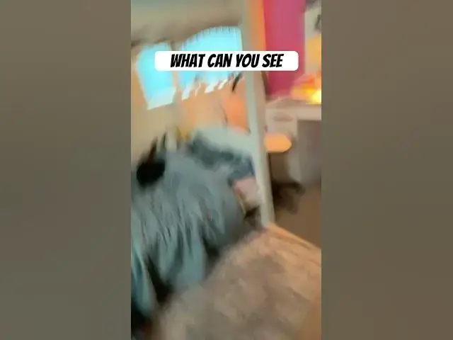 Video thumbnail for What can you see