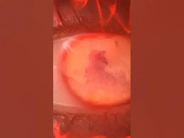 Video thumbnail for Blood In The Water Remix with @Kaki4w