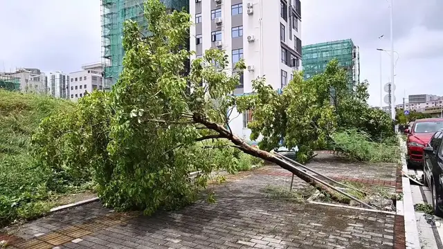 Video thumbnail for Thailand: Typhoon Noul causes severe damage in China's Guangdong province.