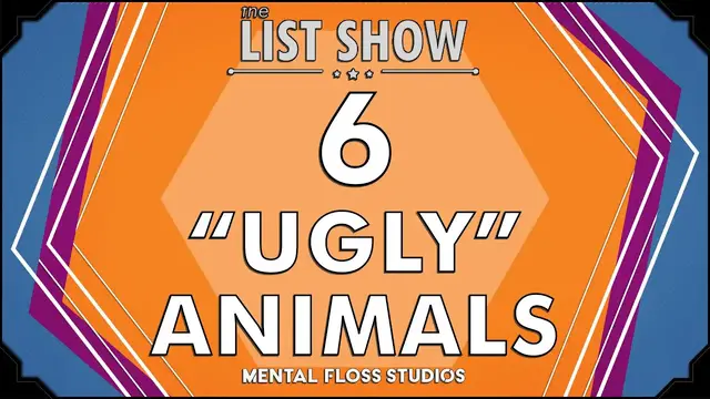 Video thumbnail for 6 Beautifully Ugly Animals | Mental Floss