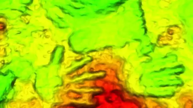 Video thumbnail for The story behind ancient handprints and finger painting