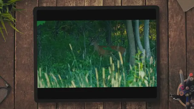 'Video thumbnail for What Colors are Deer Scared Of?'