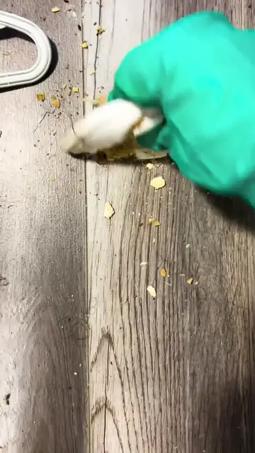 Video thumbnail for Garbage covered bedroom cleaning while I answer more questions about my free cleanings_ 🧼✨(720P_60FPS)