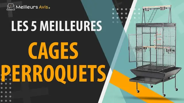 Video thumbnail for ⭐️ MEILLEUR CAGE PERROQUET - Avis & Guide d'achat (Comparatif 2022)