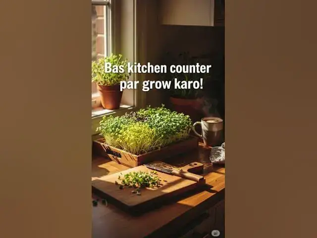 'Video thumbnail for Microgreens in 7 Days 🌱 | Superfood at Home | Greenbean Club'