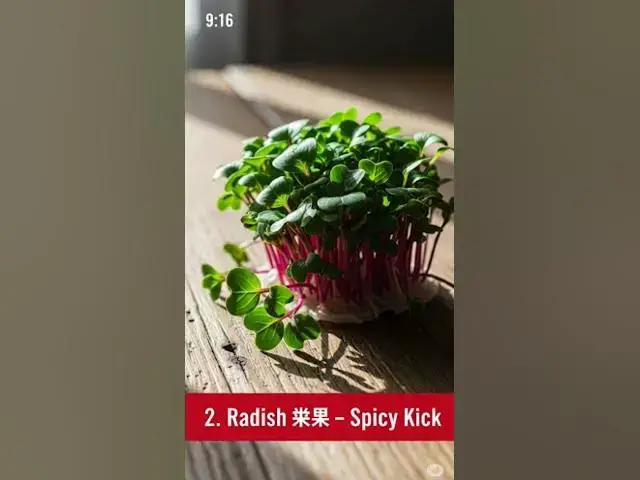 'Video thumbnail for Top 5 Microgreens You Can Grow Easily at Home 🌱 | Microgreens Guide | Greenbean Club'
