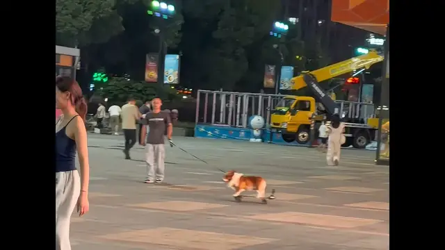 Video thumbnail for Corgi Cruises the Park on a Skateboard