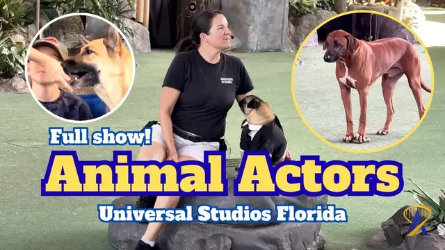Video thumbnail for Full Animal Actors On Location Show at Universal Studios!