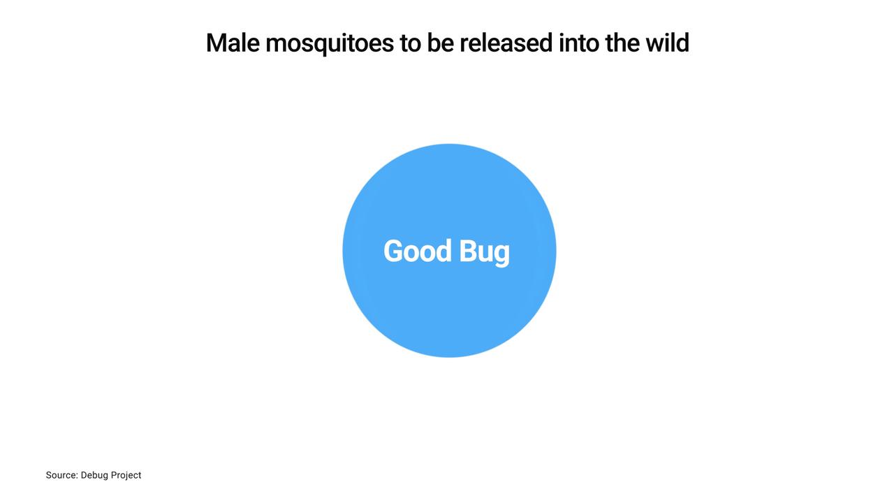 Video thumbnail for US: Google seeks EPA approval to release 32 million mosquitoes in California and Florida.