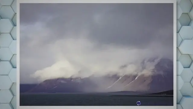 Video thumbnail for Characteristics of Polar Bears: A Closer Look