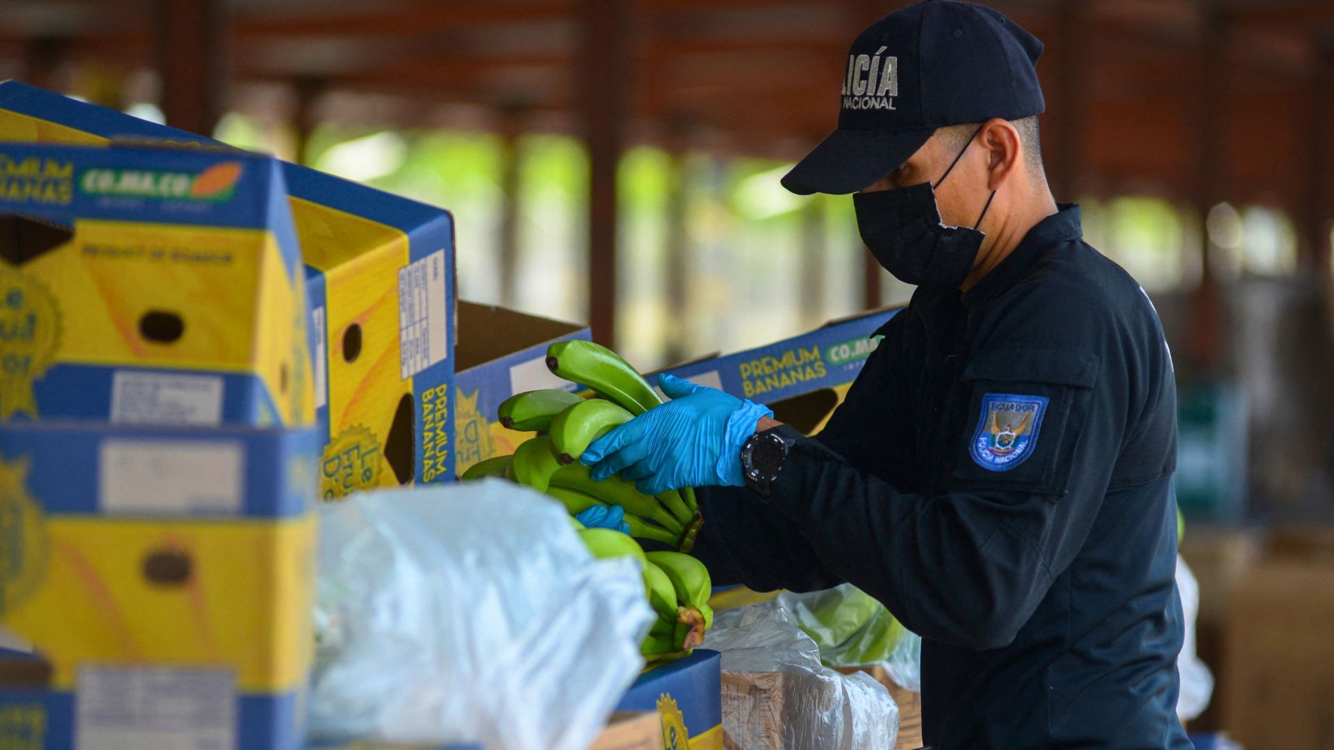 Video thumbnail for Cocaine smuggling taints Ecuador’s banana export industry