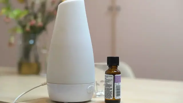 Video thumbnail for Natural Mosquito Prevention Tips to Keep Your Home Bite-Free