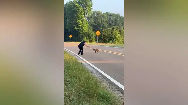 Video thumbnail for Sisters Rescue Tiny Dog From Side Of Road And Give New Leash Of Life | Happily TV