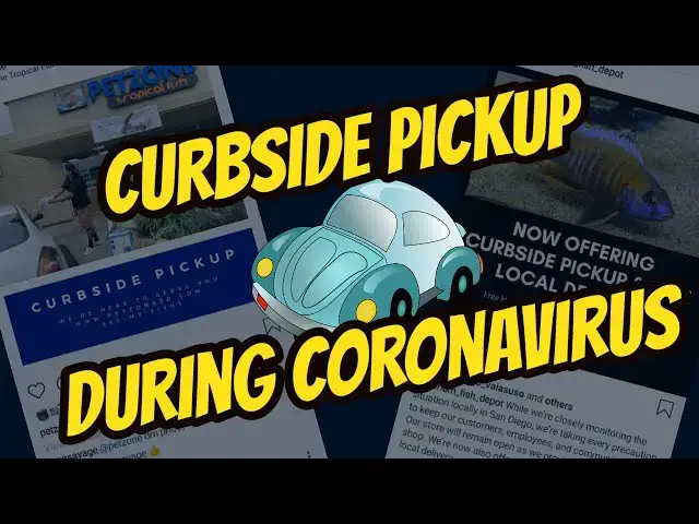 Video thumbnail for Local Fish Store Curbside Pickup during the Coronavirus Pandemic | Awesomeness