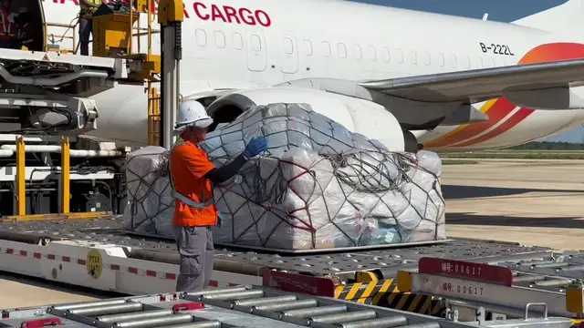 Video thumbnail for China: New Haikou-Singapore cargo route launched to boost Hainan FTP's trade connectivity.