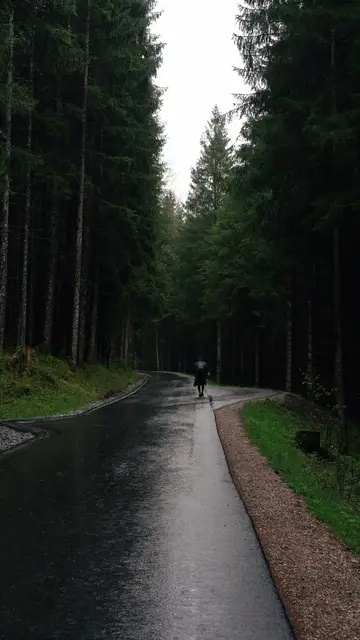 'Video thumbnail for Nature'