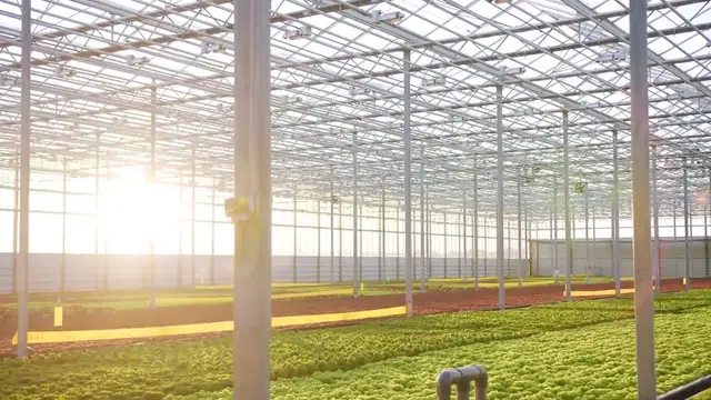 Video thumbnail for Indoor Vertical Gardening Guide