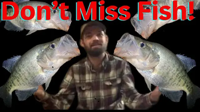 'Video thumbnail for Crappie Fishing: Start To Finish, Your Guide to What You Need To Know!'