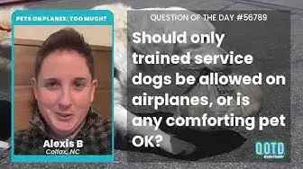 Video thumbnail for Alexis B says airlines should stick with letting service dogs on planes.