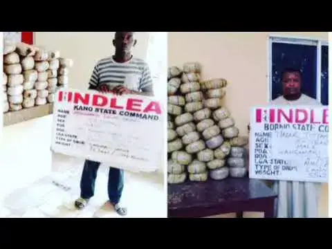 Video thumbnail for NDLEA Arrests 19-Year-Old Student Who Conceal Illicit-drugs Inside Crayfish ~ OsazuwaAkonedo