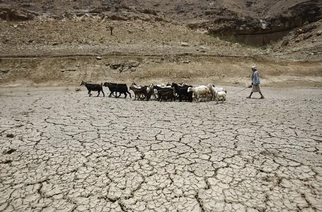 'Video thumbnail for Yemen drought: 85% of agricultural land not cultivated this year'