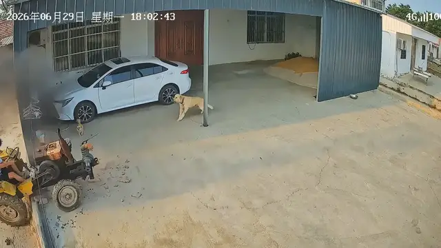 Video thumbnail for Tractor Crash Surprise in Anhui Backyard
