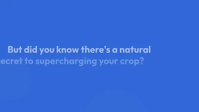 Video thumbnail for Boost Your Cucumber Harvest with This Na | Cucumber gardening tips