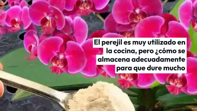 'Video thumbnail for Conserva el perejil y te dura fresco durante un año: el método de los chefs'