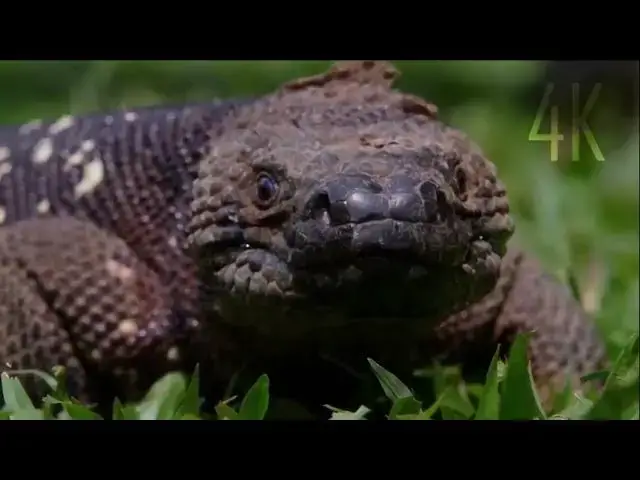 Video thumbnail for NCV