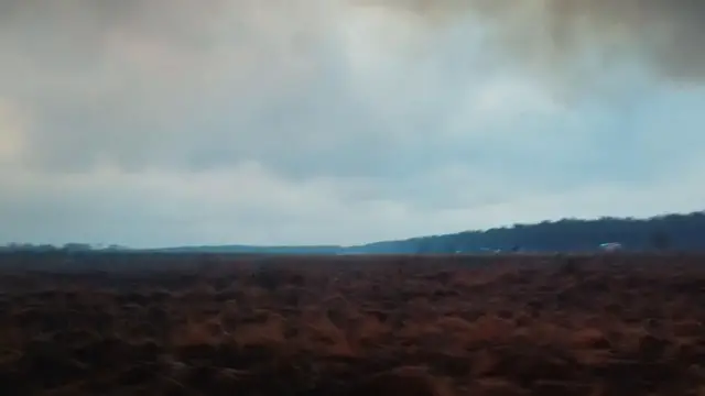 Video thumbnail for France: Wildfires continue to ravage France as minister warns of 'highly unfavorable' situation.
