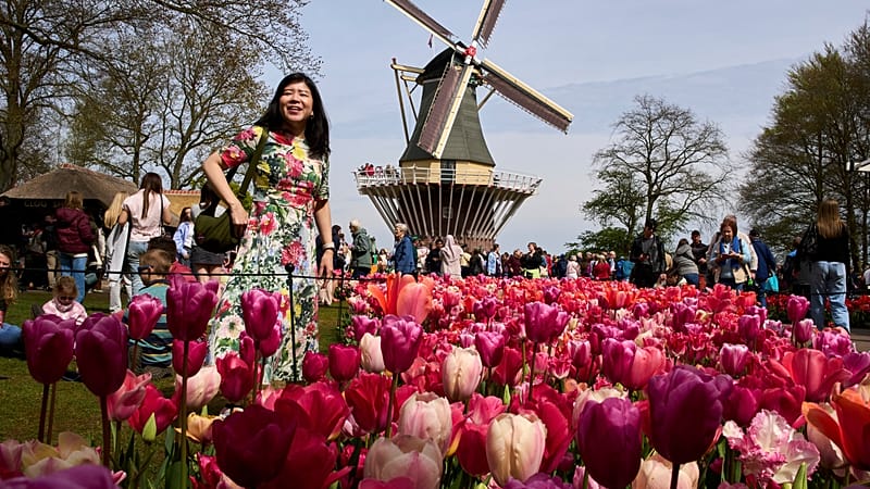 Video thumbnail for Netherlands Keukenhof draws global visitors for spring display