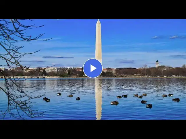 Video thumbnail for How to remove small distractions from an image in photoshop