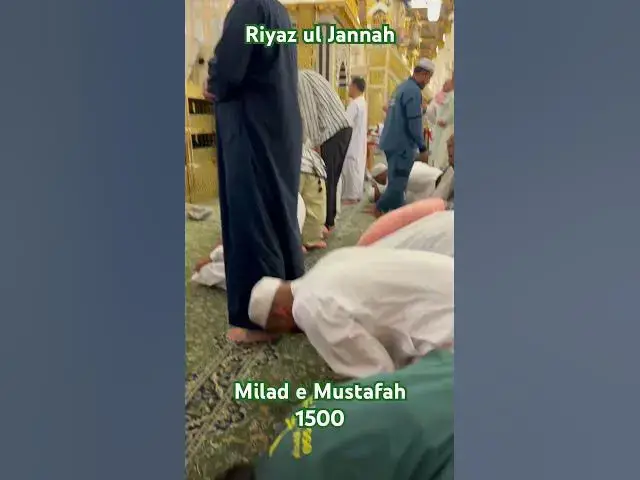 'Video thumbnail for Rosa e Pak #madina #shortvideo #aliza #tawafekaba #ayeshavilla #saudiaarbia'