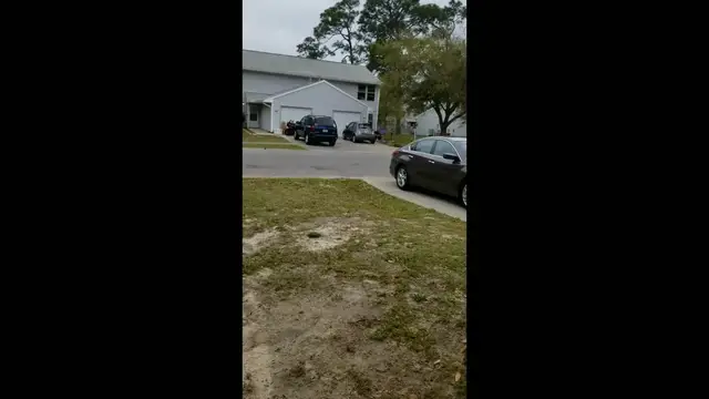 Video thumbnail for Birthday Scavenger Hunt Surprise Adoption | Happily TV