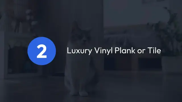 Video thumbnail for Best Non-Slip Flooring for Pets – Keep Your Pets Safe and Secure