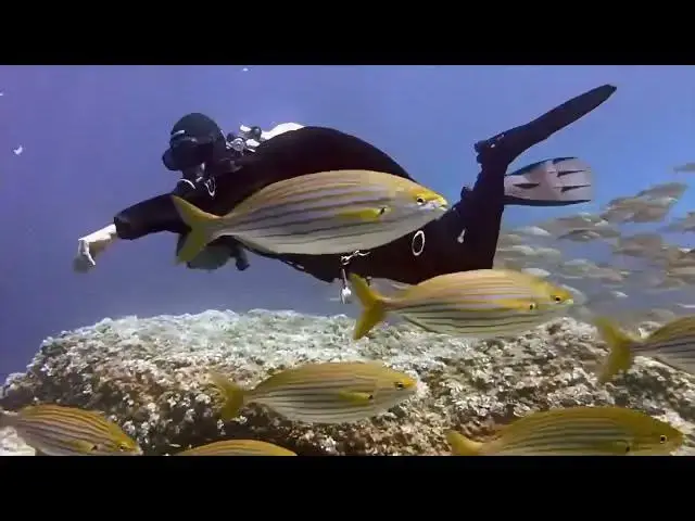 Video thumbnail for Amazing Nature  Waterfalls