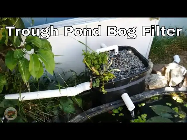 Video thumbnail for Installed a Bog Filter for the Trough Pond