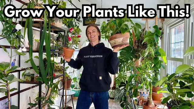 Video thumbnail for 12 Reasons my Indoor Plants look GREAT - Crash Course for Happy Houseplants